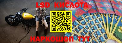 твердый Бийск