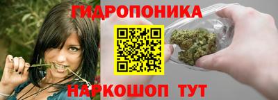 твердый Берёзовский